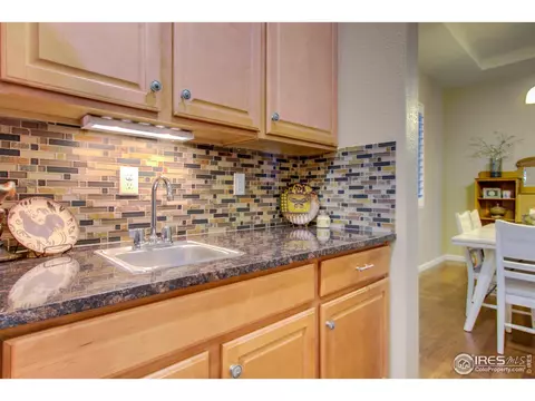 5644 Summerlyn Ct, Windsor, CO 80550 photo 11
