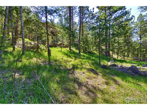 124 Moose Rd, Lyons, CO 80540 photo 37