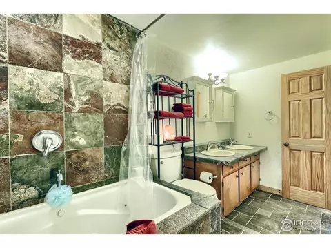 124 Moose Rd, Lyons, CO 80540 photo 29