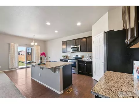 907 Pierson Ct, Windsor, CO 80550 photo 6