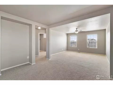 907 Pierson Ct, Windsor, CO 80550 photo 18