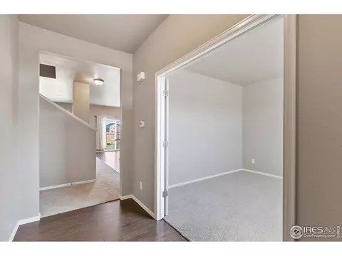 907 Pierson Ct, Windsor, CO 80550 photo 4