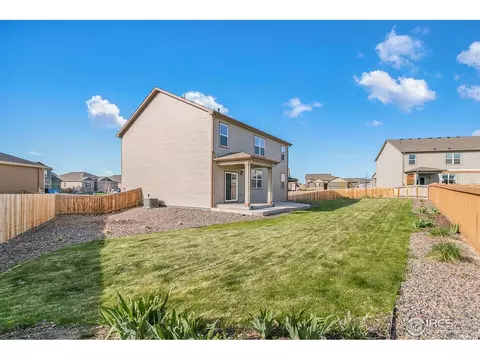 907 Pierson Ct, Windsor, CO 80550 photo 28