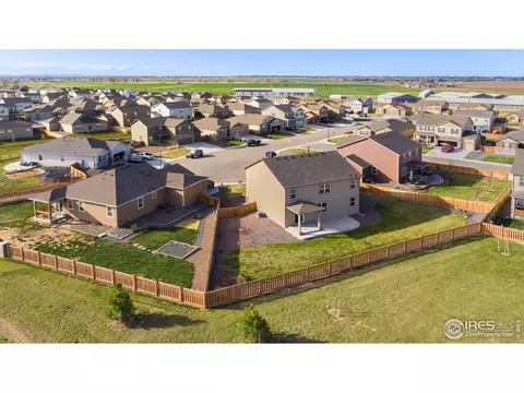 907 Pierson Ct, Windsor, CO 80550 photo 32