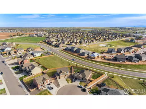 907 Pierson Ct, Windsor, CO 80550 photo 33