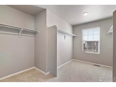 907 Pierson Ct, Windsor, CO 80550 photo 21