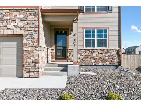 907 Pierson Ct, Windsor, CO 80550 photo 3