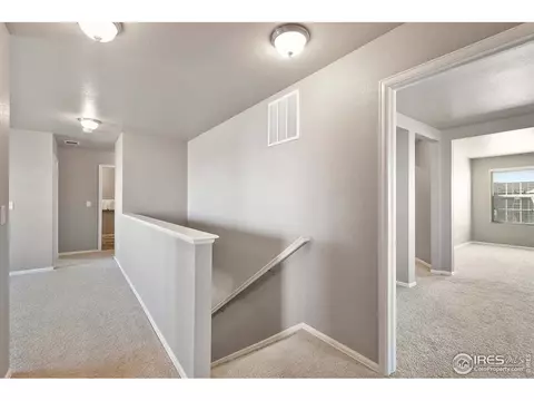 907 Pierson Ct, Windsor, CO 80550 photo 15