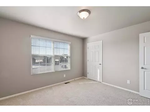 907 Pierson Ct, Windsor, CO 80550 photo 27