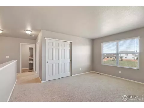 907 Pierson Ct, Windsor, CO 80550 photo 16