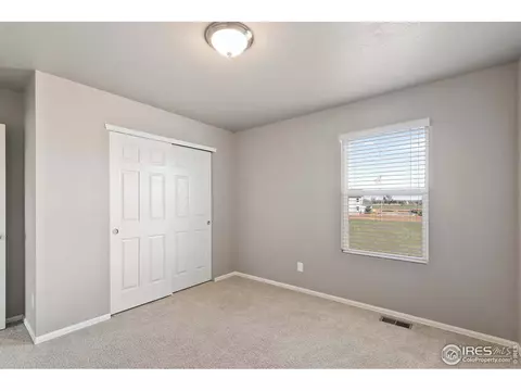907 Pierson Ct, Windsor, CO 80550 photo 24