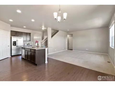 907 Pierson Ct, Windsor, CO 80550 photo 10