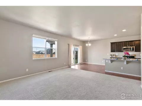 907 Pierson Ct, Windsor, CO 80550 photo 11