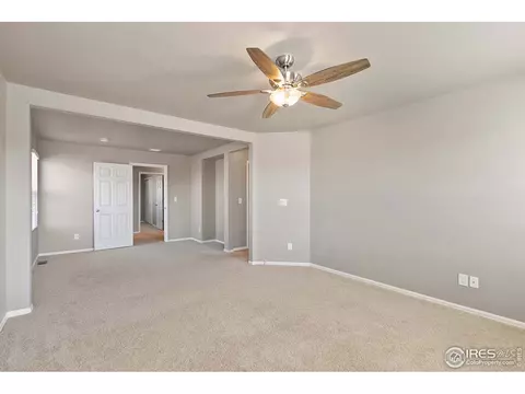 907 Pierson Ct, Windsor, CO 80550 photo 19