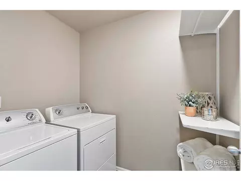 907 Pierson Ct, Windsor, CO 80550 photo 23