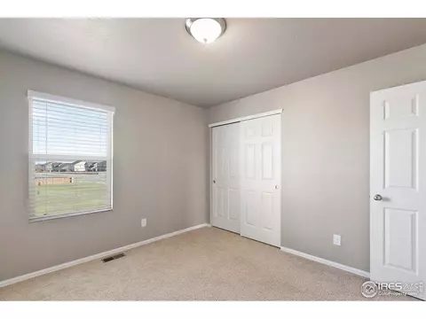 907 Pierson Ct, Windsor, CO 80550 photo 22