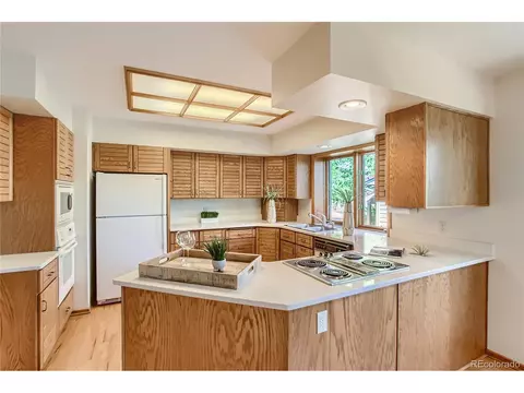 5568 Willow Springs Dr, Morrison, CO 80465 photo 13