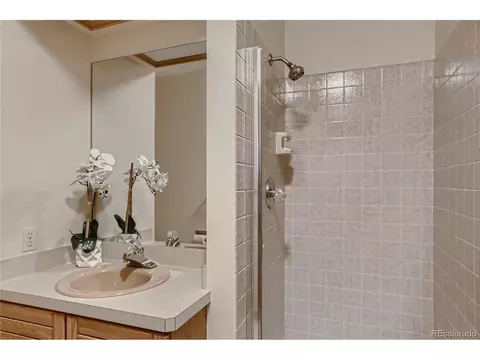 5568 Willow Springs Dr, Morrison, CO 80465 photo 8