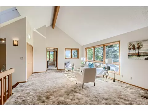 5568 Willow Springs Dr, Morrison, CO 80465 photo 9