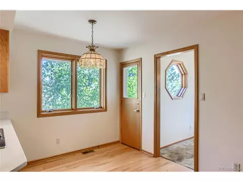 5568 Willow Springs Dr, Morrison, CO 80465 photo 16
