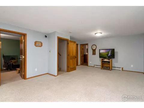 790 3rd St, Windsor, CO 80550 photo 19