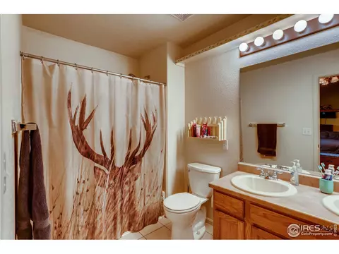 5763 Orchard Ave, Frederick, CO 80504 photo 16