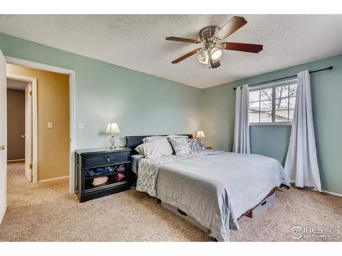 3924 E 116th Pl, Thornton, CO 80233 photo 9
