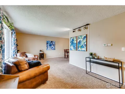 3924 E 116th Pl, Thornton, CO 80233 photo 5