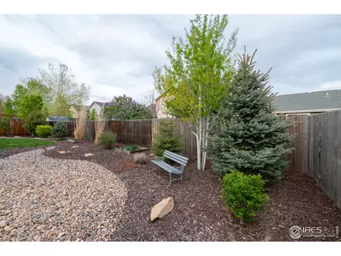926 Cliffrose Way, Severance, CO 80550 photo 31