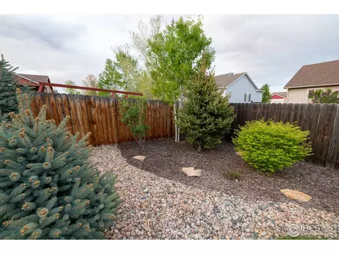 926 Cliffrose Way, Severance, CO 80550 photo 29