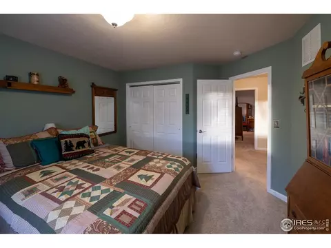 926 Cliffrose Way, Severance, CO 80550 photo 25