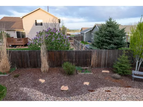 926 Cliffrose Way, Severance, CO 80550 photo 27