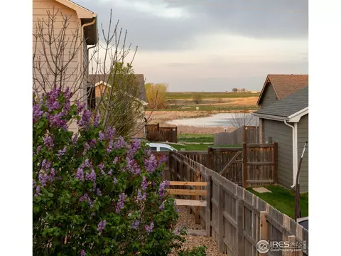 926 Cliffrose Way, Severance, CO 80550 photo 12
