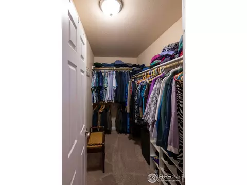 926 Cliffrose Way, Severance, CO 80550 photo 16