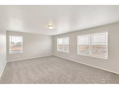 1993 Floret Dr, Windsor, CO 80550 photo 21