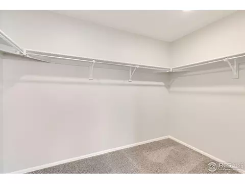 1993 Floret Dr, Windsor, CO 80550 photo 24