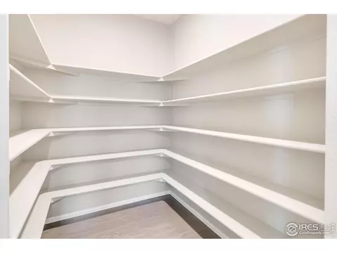 1993 Floret Dr, Windsor, CO 80550 photo 15