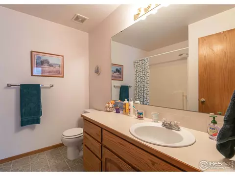 109 Crabapple Dr, Windsor, CO 80550 photo 19