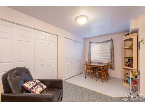 109 Crabapple Dr, Windsor, CO 80550 photo 24