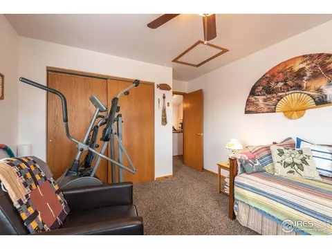109 Crabapple Dr, Windsor, CO 80550 photo 20