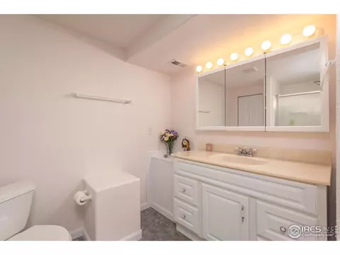 109 Crabapple Dr, Windsor, CO 80550 photo 25
