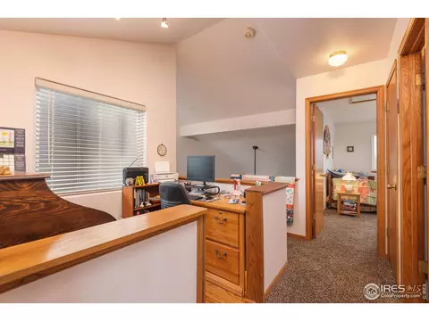 109 Crabapple Dr, Windsor, CO 80550 photo 16