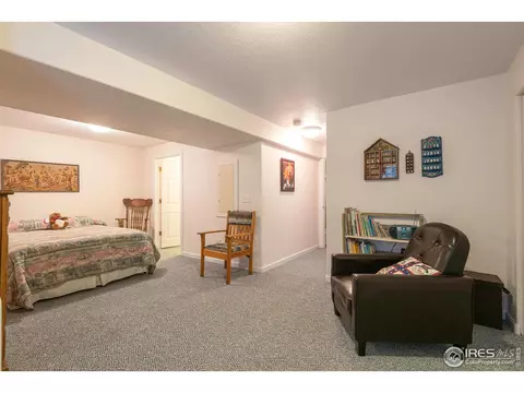 109 Crabapple Dr, Windsor, CO 80550 photo 23