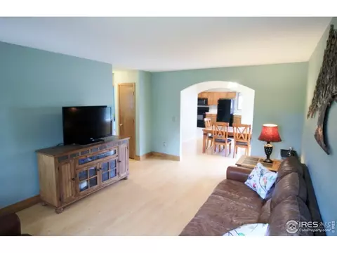 118 E Iowa Ave, Berthoud, CO 80513 photo 8