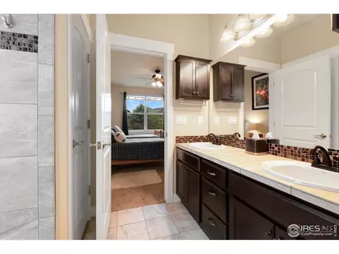 2003 Vineyard Dr, Windsor, CO 80550 photo 16