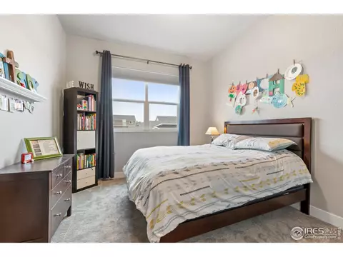 5538 Maidenhead Dr, Windsor, CO 80550 photo 25