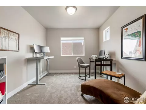 5538 Maidenhead Dr, Windsor, CO 80550 photo 27