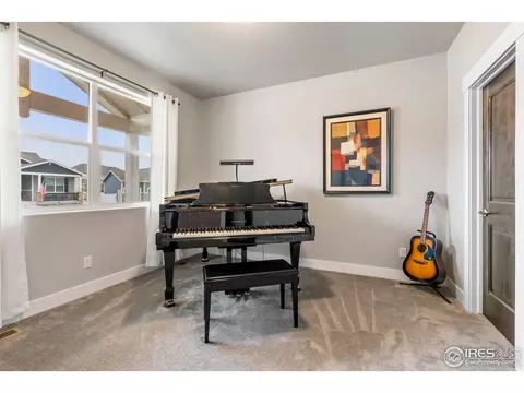 5538 Maidenhead Dr, Windsor, CO 80550 photo 19