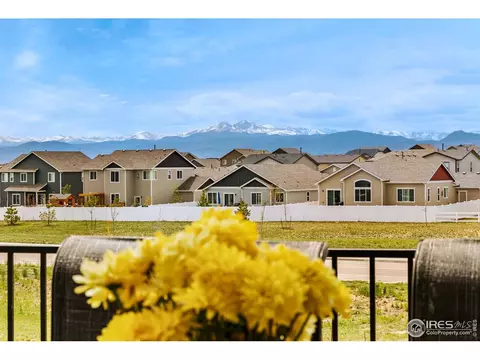 5538 Maidenhead Dr, Windsor, CO 80550 photo 15