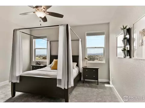 5538 Maidenhead Dr, Windsor, CO 80550 photo 21